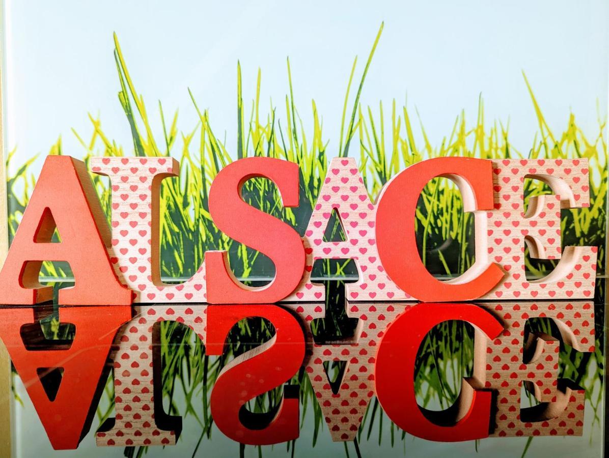 Citycosy-Strasbourg: Boston Espla Εξωτερικό φωτογραφία